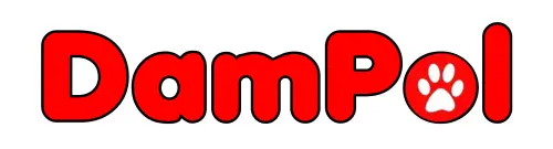 Logo DamPol24