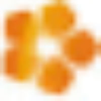 Logo Florini