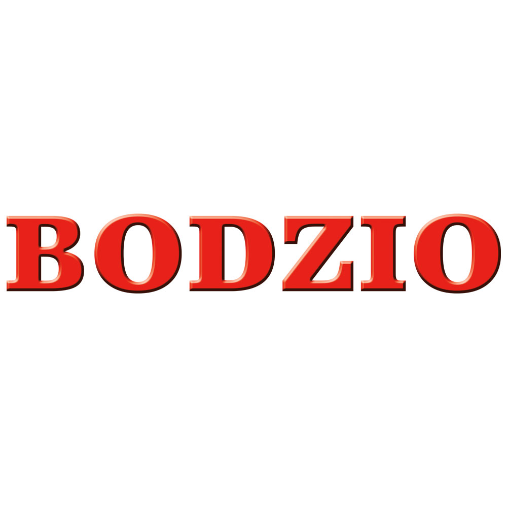 Logo Bodzio