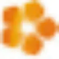 Logo Florini