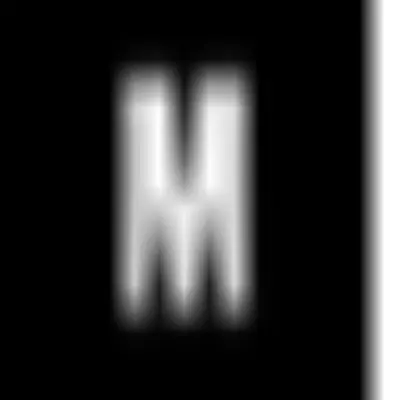 Logo Mohito