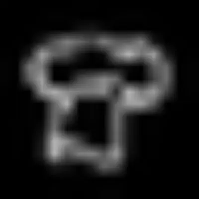 Logo Body Chief